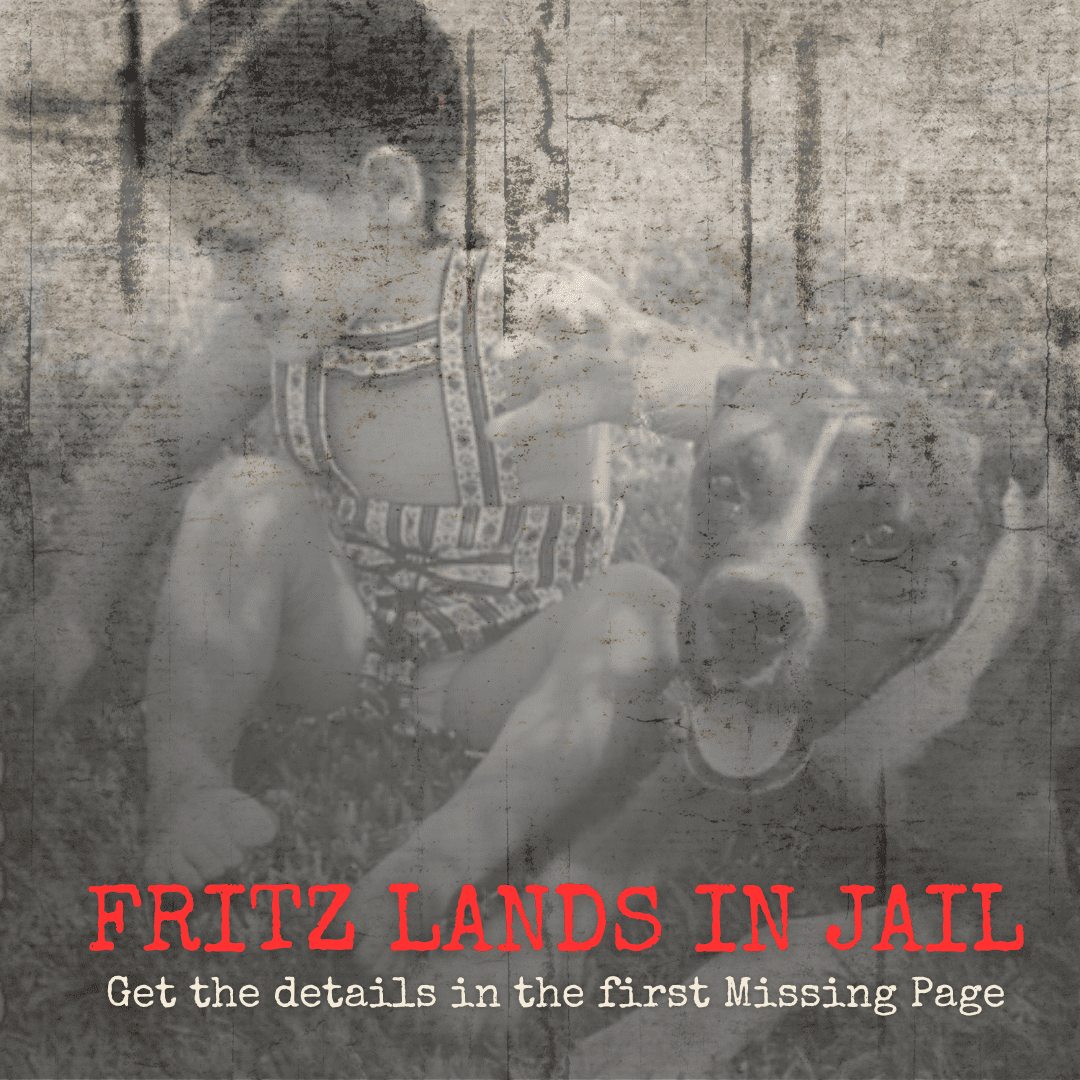 fritz lands in jail