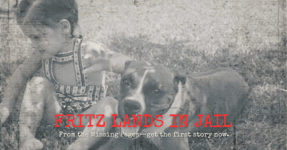 Fritz lands in jail headline: Fritz lands in Jail!