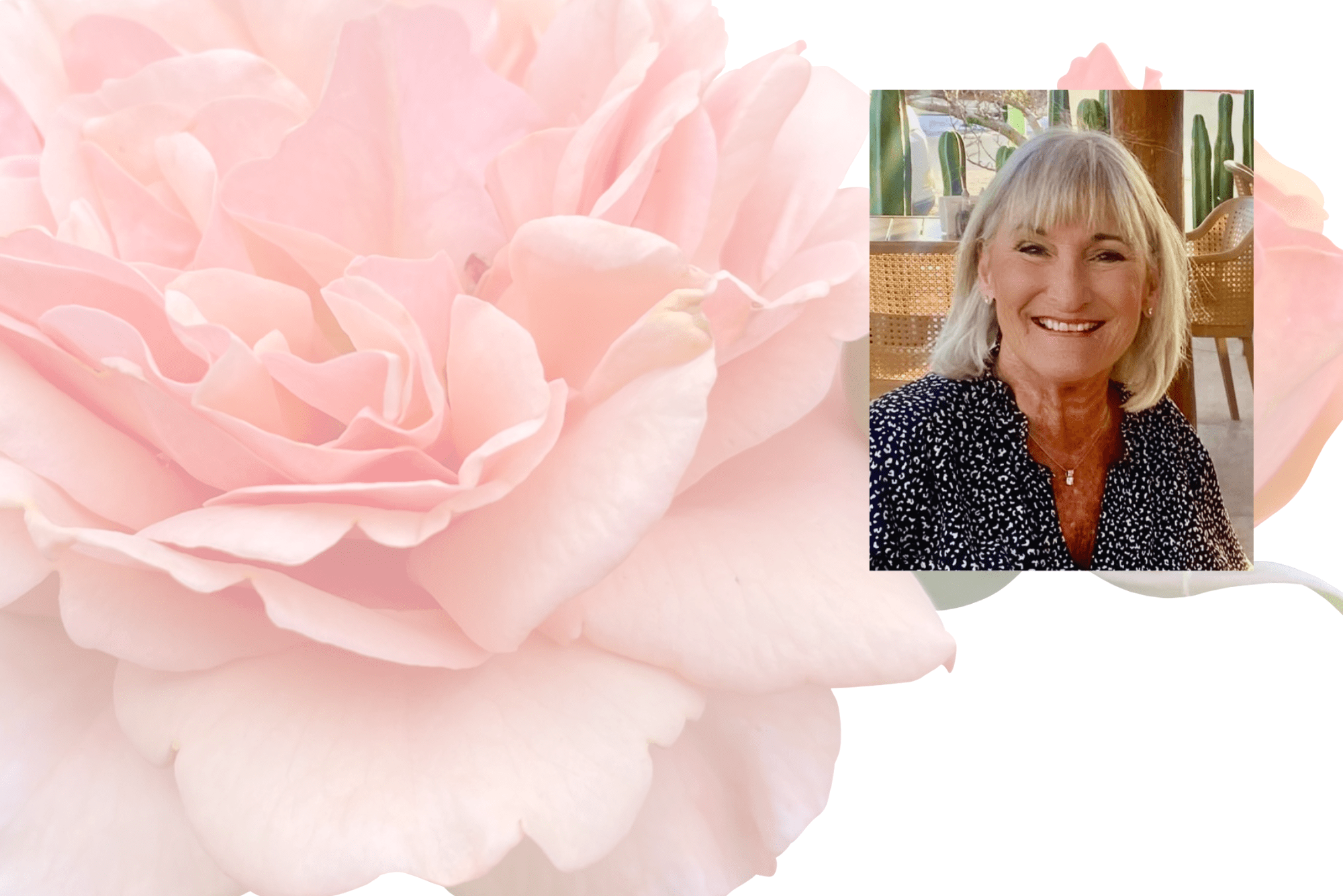 Rose and roseann full width Roseann Mayer, Author